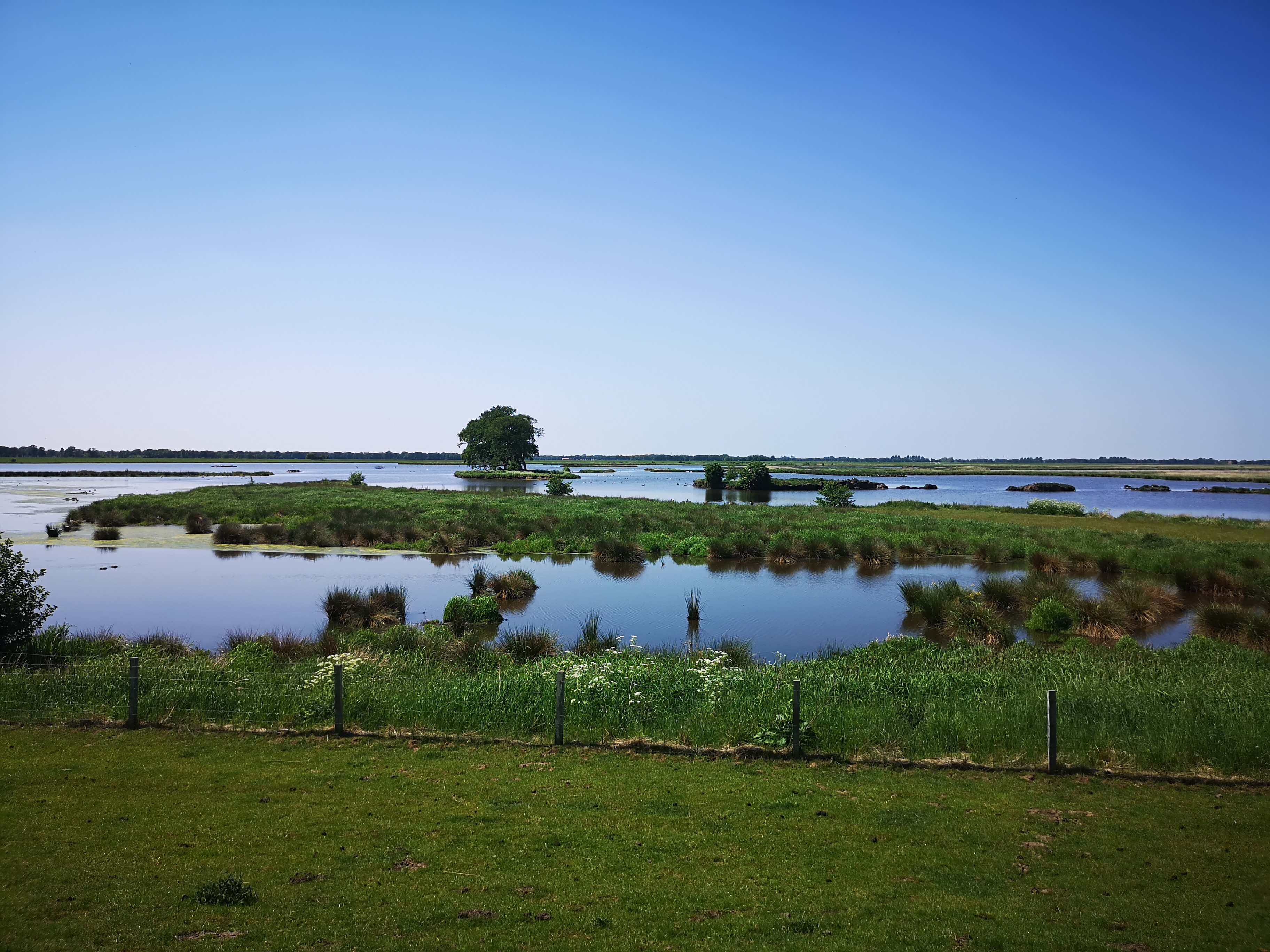 Naturschutzgebiet Holter Hamrich